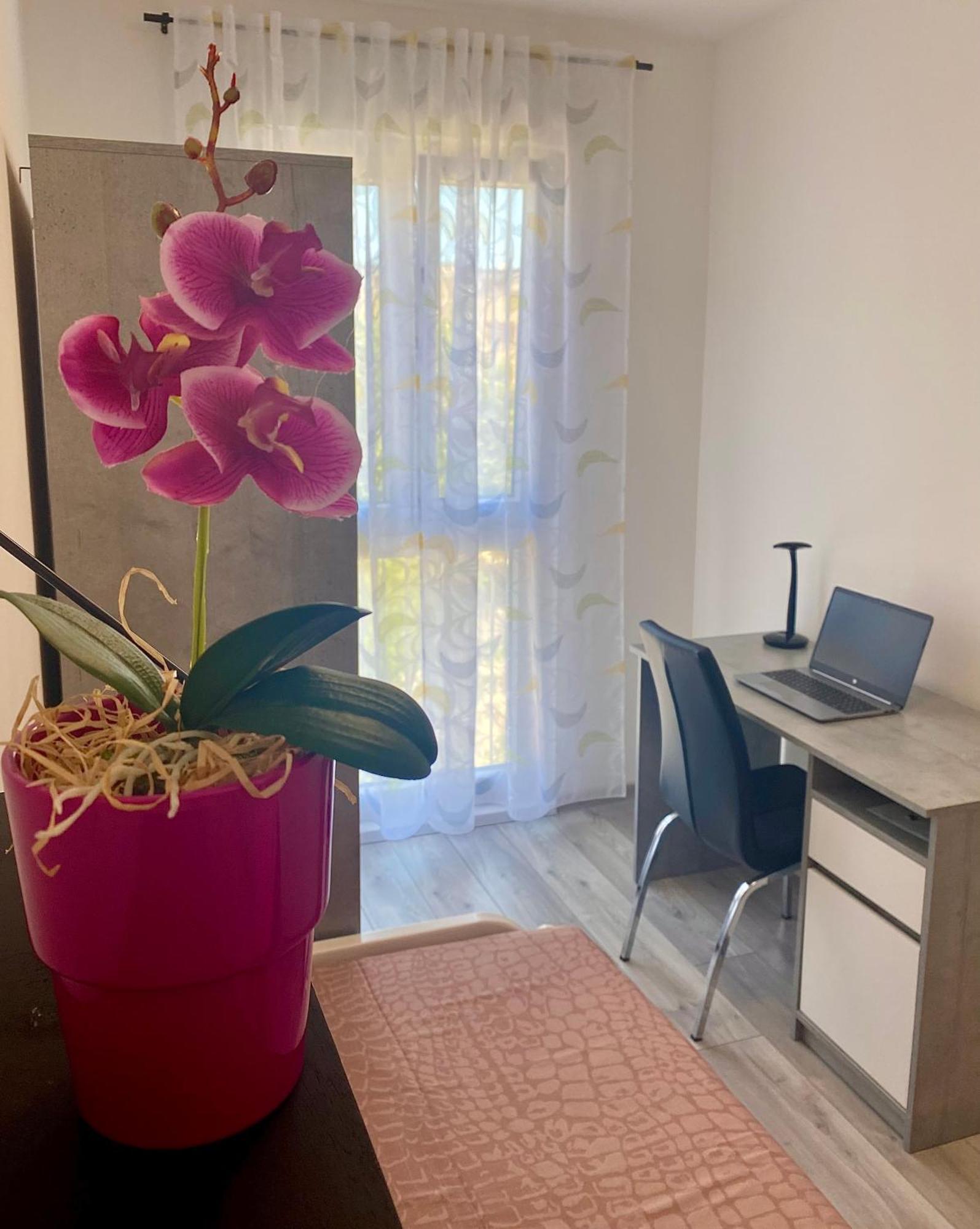 Ema Apartment Пула Екстер'єр фото